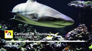 Cartilago De Tiburon  Jossie Esteban [upl. by Eyahsal]