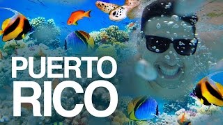 Snorkeling in Puerto Rico  What to do in Puerto Rico [upl. by Kenton741]