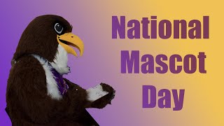 National Mascot Day with Swoop [upl. by Euqinahc]