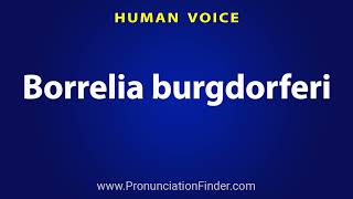 How To Pronounce Borrelia burgdorferi [upl. by Yun]