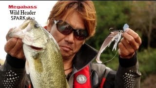 MEGABASS MOVIE 165 激タフの旧吉野川をワイルドヘッダーで釣る！ [upl. by Hisbe968]