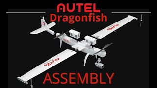 DragonFish  Assembly [upl. by Ynnam]