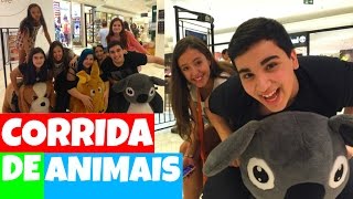 CORRIDA DE ANIMAIS NO SHOPPING [upl. by Drahnreb]