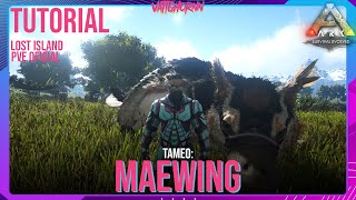 Tameo Maewing  Lost Island  Ark PVE Oficial  Vattghornn [upl. by Voleta]