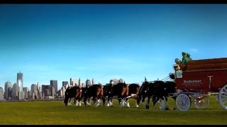 quotWell Never Forget 911quot Budweiser Commercial Aired Only One Time [upl. by Ecerahs]