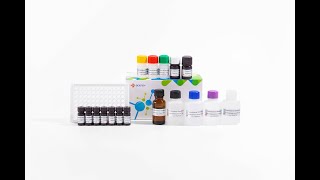 YR2SC0106 Furazolidone Metabolite AOZ ELISA Test Kit [upl. by Allekim]