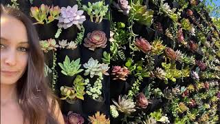 How to Build a Succulent Wall [upl. by Waldack]