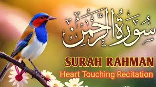 Surah AlRahman  EP  007  By Qari Shabbir Ahmed  55سورہ الرحمن  Beautiful recitation [upl. by Kamerman]