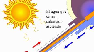 Funcionamiento calentador solar de agua [upl. by Enirrok]