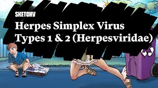 Herpes Simplex Virus Types 1 amp 2 Herpesviridae  Part 1  Sketchy Medical  USMLE Step 1 [upl. by Ayrad]