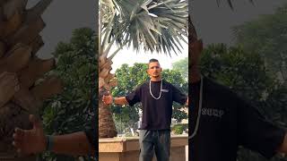 Sidhu Moose Wala’s Raw Energy Meets Real Attitude  IDGFKquot song trending viralshort video [upl. by Auberon]