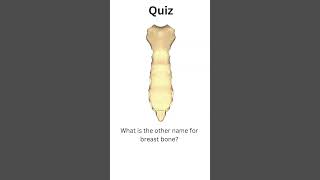 name of breast bone breastboneboneshortsfeed shortsquiz anatomy [upl. by Whit]