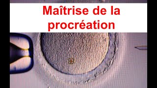 Vidéo N°14 Term ST2S Maîtrise de la procréation 14 mars 2021 [upl. by Grindlay137]