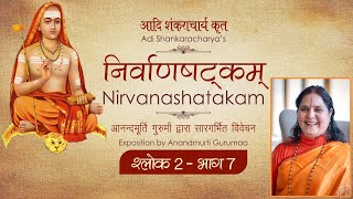 Advaita Vedanta  Nirvana Shatakam  Shloka 2  Part 7  Anandmurti Gurumaa Hindi [upl. by Narhet]