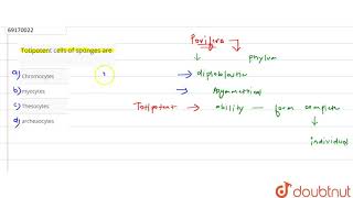 Totipotent cells of sponges are [upl. by Rahab307]