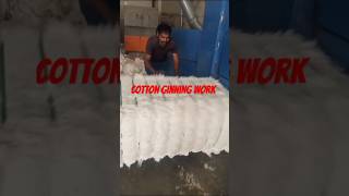 Cotton Ginning work machine automobile cottongin shortsvideo [upl. by Eannyl]