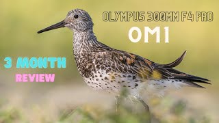 OM1 and Olympus 300mm F4 Pro  3 month review  Did I make the right choice [upl. by Yeung463]