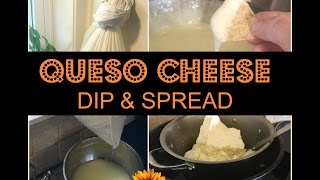 MAKE QUESO CHEESE SPREAD amp DIP [upl. by Hayne]