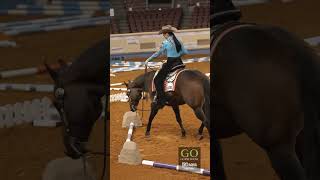 AQHA World Show 2024  L3 Amateur Trail [upl. by Nodyarb686]