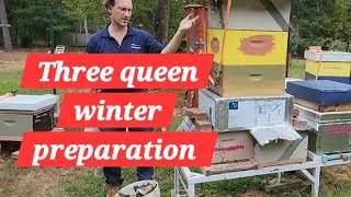 Three queen hive winter preparation  Beekeeping [upl. by Paviour980]