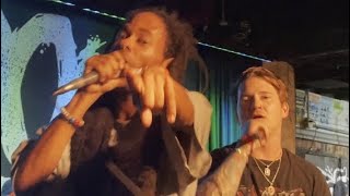 Dropout Kings LIVE 4K FULL SET  New Songs [upl. by Fairweather906]