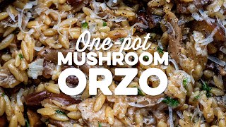 Onepot Mushroom Orzo  Supergolden Bakes [upl. by Sanjiv501]