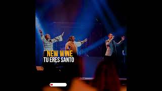 NEW WINE  Tu eres Santo 😭😭 COVER Ingrid Rosario [upl. by Piers]