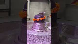 Shiv status shivmahakalshorts rtstrending trendingshorts mahadevshiv bholenath saketrishiv [upl. by Alethea]