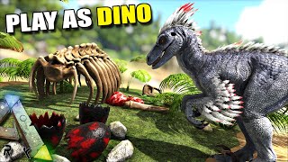 WE MAKE A RAPTOR DEN   PLAY AS DINO  ARK SURVIVAL EVOLVED [upl. by Paviour]