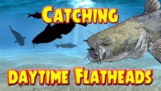 Catching Flathead catfish in the daytime [upl. by Ruthe286]