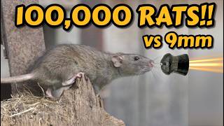 100000 Rats in an Infested Warehouse [upl. by Alleciram]