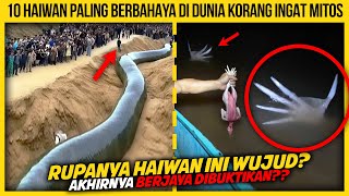 10 HAIWAN PALING BERBAHAYA DI DUNIA KORANG INGAT MITOS [upl. by Kally642]