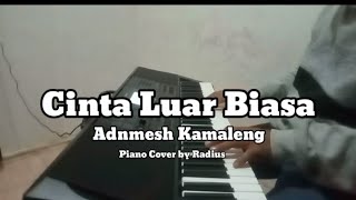 Cinta Luar Biasa  Andmesh Kamaleng Piano Cover by Radius [upl. by Orola]