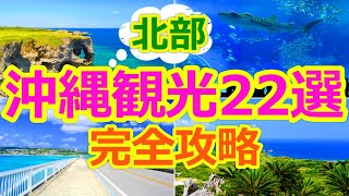 【沖縄観光北部エリア22選】人気観光スポットをほぼすべて網羅！初めての沖縄旅行はココから選んで！ [upl. by Branham503]