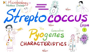 Streptococcus Pyogenes  Group A Strept GABS Characteristics  Microbiologyamp Infectious Diseases [upl. by Balduin]