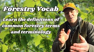 Forestry Vocabulary Learn the Definitions of Common Forestry Terms and Terminology [upl. by Merrow215]