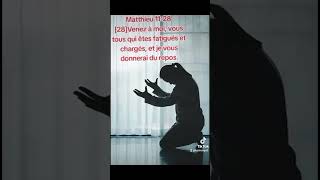 Matthieu 112828Venez à moi vous tous qui êtes fatigués et chargés et je vous donnerai du repos [upl. by Mandler]