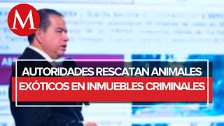 Catean cinco inmuebles con animales exóticos de líderes de la Familia Michoacana [upl. by Inger518]