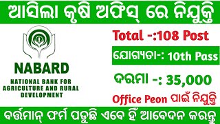 Nabard Office Recruitment 2024  Odisha Government Jobs 2024  10th Pass Apply Now [upl. by Ayak]