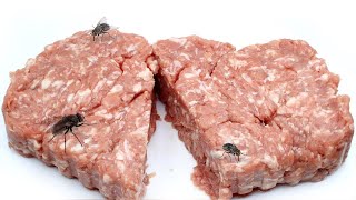 Timelapse  MINCED MEAT with FLY MAGGOTS [upl. by Noir241]