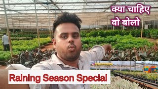 Biggest Wholesale Nursery In Pune Raining Season Special Part 1 [upl. by Akissej]