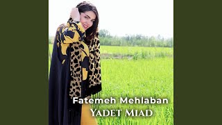 Yadet Miad [upl. by Maire]