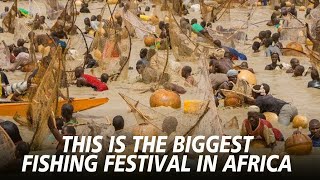 Argungu Fishing Festival Nigerias Epic Water Battle and Cultural Celebration [upl. by Verile445]