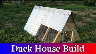 Building a Duck House and moving the ducks out to the pond [upl. by Pine]