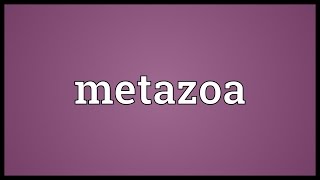 Metazoa Meaning [upl. by Notelrahc]