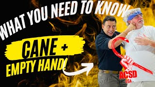 Cane Self Defense The Cane Empty Hand Connection What You Need To Know [upl. by Ahsinej]