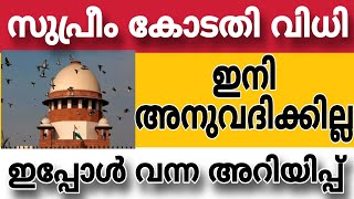 സുപ്രീംകോടതിയിലെ തീരുമാനം എത്തി ഏറ്റവും പുതിയ അറിയിപ്പ് 🔥pension supremecourt kerala india [upl. by Mansoor]