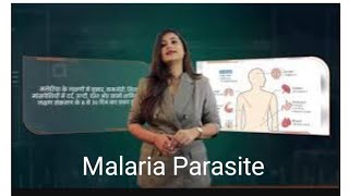 Malaria Parasite [upl. by Lindsay]