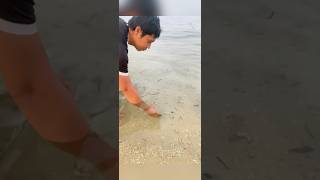 CATCHING EEL FISH ‼️‼️ [upl. by Conti]