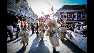 Kurentovanje 2020 Medcelinsko srečanje tradicionalnih pustnih likov in mask – Etno povorka [upl. by Romain263]